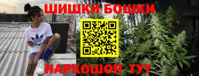 бошки Камышлов