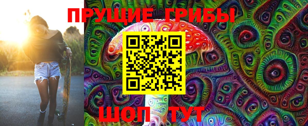 Коммунар  Псилоцибиновые грибы мицелий  как найти наркотики  Вход с VPN 