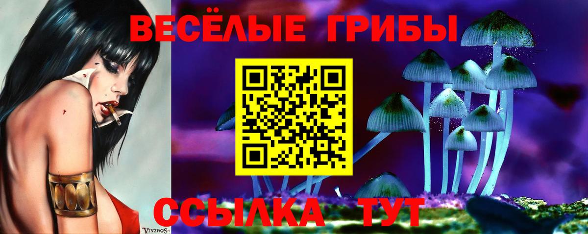 Галлюциногенные грибы MAGIC MUSHROOMS Коммунар